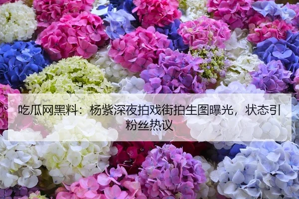 吃瓜网黑料：杨紫深夜拍戏街拍生图曝光，状态引粉丝热议